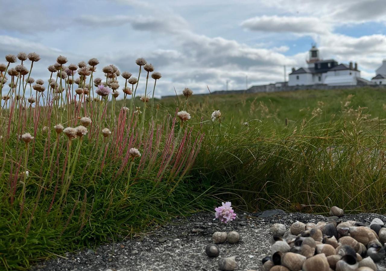 Loop Head Lighthouse Attendant'S Cottage Kilbaha 외부 사진