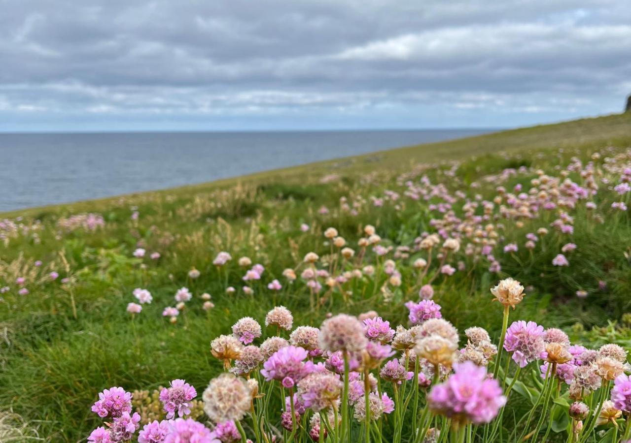 Loop Head Lighthouse Attendant'S Cottage Kilbaha 외부 사진